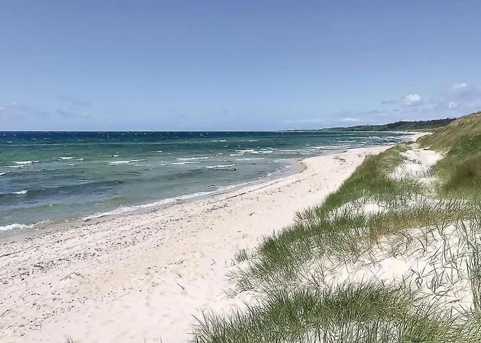 Strandbyskoven Nexo Xi *